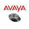 Серийный ключ Avaya 700417488