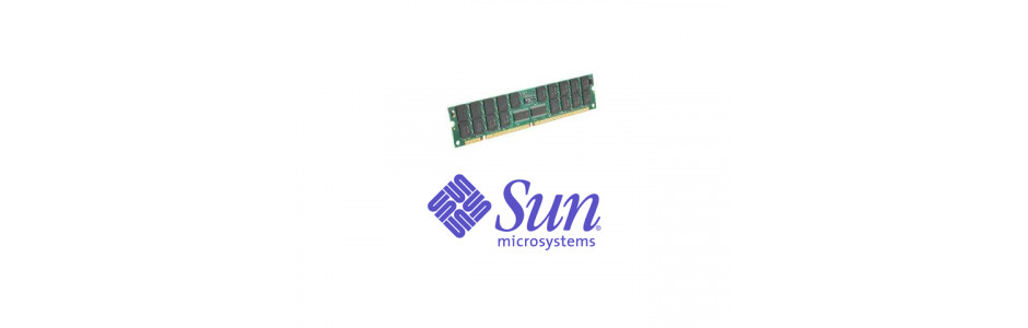 Оперативная память Sun Microsystems