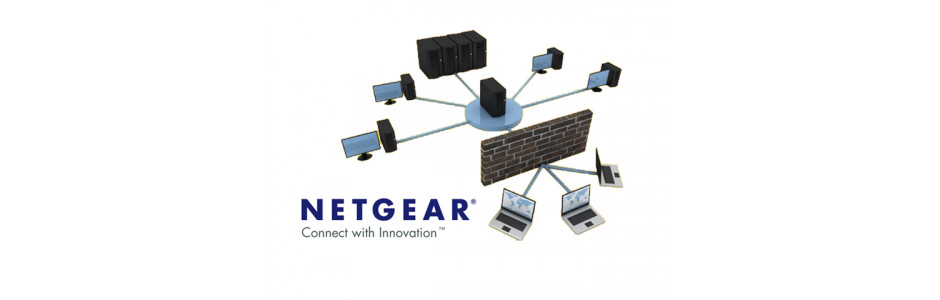 Системы защиты от сетевых угроз NETGEAR