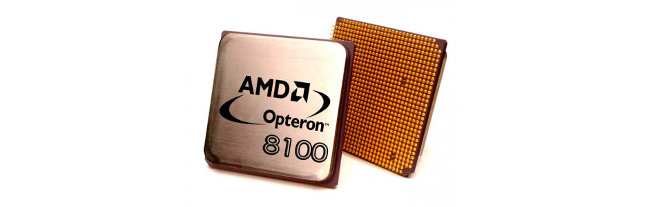 HP AMD Opteron 8100