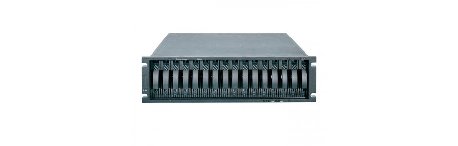 Системы хранения данных IBM System Storage DS3950